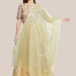 Dupatta Bazaar Light Green Zari Work Dupatta-image-93