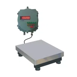 Aczet CTG - 500F 500 Kg Weighing Capacity Mild Steel Flameproof Platform Scale-9