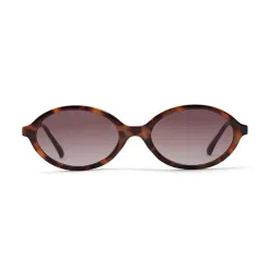 ALDO Brown Oval Sunglasses for Women-picture-22