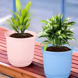Kuber Industries Blue & Pink 2 Pieces Marble Finish Planters With Tray-picture-15