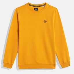 Allen Solly Junior Boys Sweatshirt-picture-28