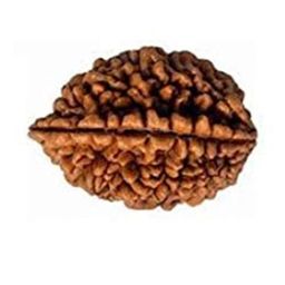 RAVIOUR LIFESTYLE Unisex Brown Pendant-image-94