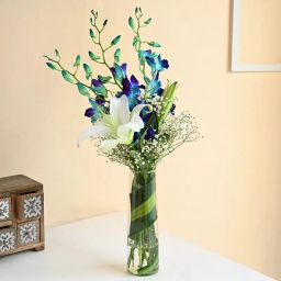 Serene Crystal Delight-image-30