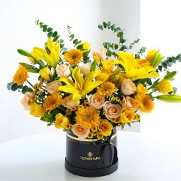 A Golden Hour Of Sunshine Dreams-image-28