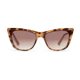 ALDO Brown Cat Eye Sunglasses for Women-picture-10