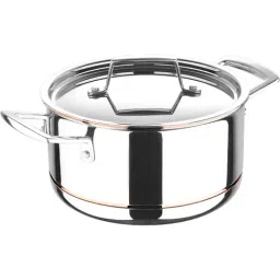 Bergner 5cx Silver Stainless Steel Induction Base Casserole with Lid - 20cm (5L)-picture-25