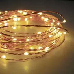 Zalaxie 3A-100L10CMZA String Light-18