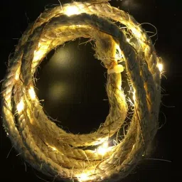 Zalaxie 2A-20L10CMZG String Light-45