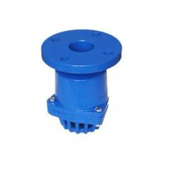 Kartar 200 mm Flanged Cast Iron Foot Valve K 519-image-42