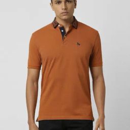 Van Heusen Brown Regular Fit Polo T-Shirt-image-99