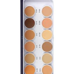 C2P PROFESSIONAL MAKEUP Ultra HD 12 in 1 Cover & Conceal Foundation Palette - 42 gm-23