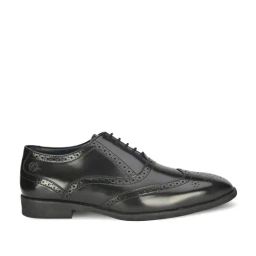 Alberto Torresi Men's Black Brogue Shoes-image-80
