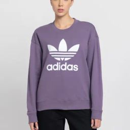 Adidas Originals Purple Cotton Logo Print Sports Sweatshirt-image-111