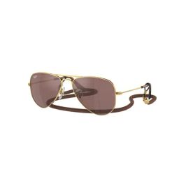 Ray-Ban Brown Pilot Unisex Sunglasses-picture-36