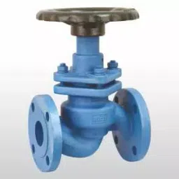 Aira Glandless Valve 25 mm(1 Inch) Hand Wheel Operated WCB Body Ss 304 Flanged 150# , KLU-image-85