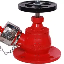 Generic D-Fire Fire Hydrant Valve Ci Body Ss-image-24