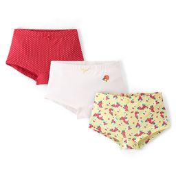 Pine Kids Cotton Lycra Knit Panties with Polka Dot & Floral Print Pack of 3 - Colour May Vary-image-15