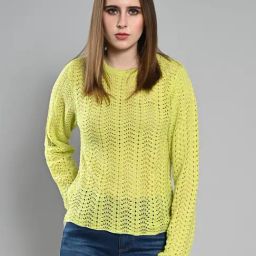 Izel Green Regular Fit Structured Sweater-image-39