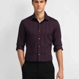 Arrow New York Purple Cotton Slim Fit Striped Shirt-image-75