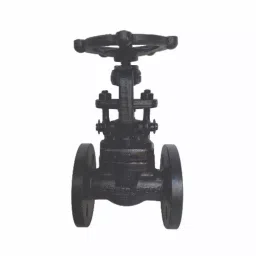 PMW 12.7 mm (1/2 Inch) 15 mm A-105 Forged Steel Gate Valve Flanged End-picture-11