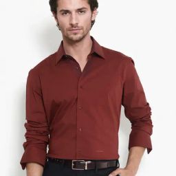 Rare Rabbit Rust Regular Fit Solid Shirt-picture-3