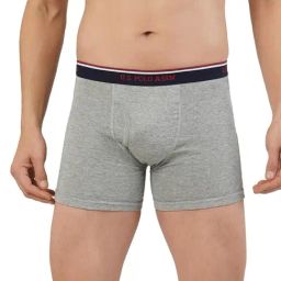 U.S. Polo Assn. Grey Regular fit Trunks-picture-15