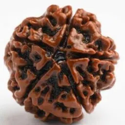 GenZcomplex Unisex 5 Mukhi Artificial Beaded Rudraksha Pendant image 3