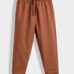 Orange Sugar 100% Cotton Knit Solid Joggers - Brown-image-61