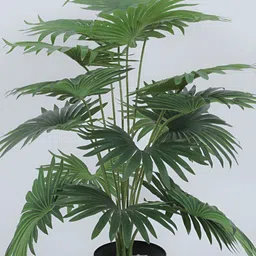 Home Bloom Green & Black Artificial Fan Palm Plant With Pot image 3
