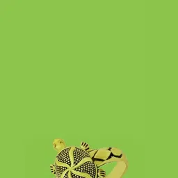 Dynamic Retail Global Unisex Gold Ring-49