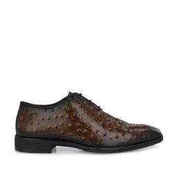 Hitz Men's Brown Derby Shoes-image-26