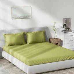 DDecor Plain dyed Green 180 TC Cotton King Bedsheet with 2 Pillow Covers-image-53
