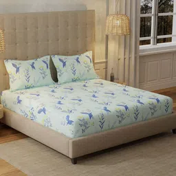 URBAN SPACE Whisper Mint Blue 200 TC Floral Queen Bedsheet-image-94