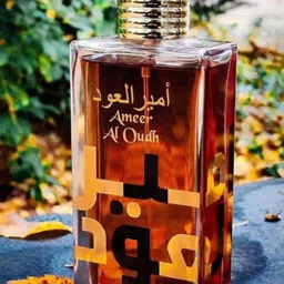Lattafa Ameer Al Oudh Intense Oud Eau De Parfum- 100 ml-image-1