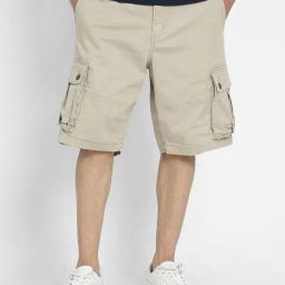 American Eagle Beige Cotton Regular Fit Cargo Shorts-image-22