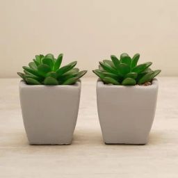 Pure Home and Living White Plastic Solid Potted Plants-31