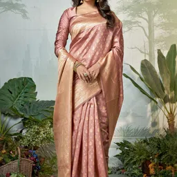 DIVASTRI Woven Design Zari Pure Silk Heavy Work Banarasi Saree-picture-21
