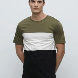 SELECTED HOMME Multicolor Slim Fit Crew T-Shirt-image-41