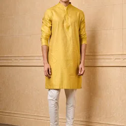 Tasva Floral Woven Design Mandarin Collar Regular Thread Work Kurta With Pyjama-15