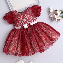 The Magic Wand Net Woven Half Puffed Sleeves Floral Applique Detailed & Embellished Dress - Maroon-picture-11