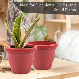 Kuber Industries Red 6 Pieces Versatile & Sturdy Flower Planters image 5