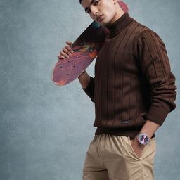 The Roadster Lifestyle Co. Men Striped Turtle Neck Pure Cotton Pullover-picture-8