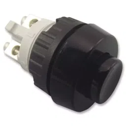 RAFI SWITCH, 1 NO, 0.7A, 250VAC, SCREW, 1.10.001.001/0104-13