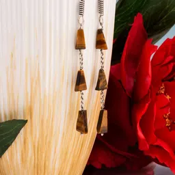 Shrim jewels Tiger Eye Gemstones Beaded Oxidised Geometric Shaped Drop Earrings-picture-15