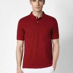 Peter England Maroon Regular Fit Polo T-Shirt-picture-46