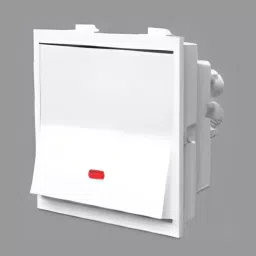 Cona Status Dual D.P Switch With Indicator 32 A White, 9816-0