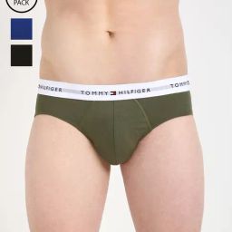 Tommy Hilfiger Multicolor Cotton Slim Fit Briefs - Pack Of 3-picture-45