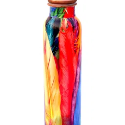 DSH Crafting Your Curiosity Red & Blue Single Copper Colourblocked Water Bottle 900 ml-image-95