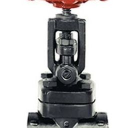 Sants 40 mm Forged Steel Globe Valve FSV 6B-image-49