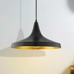 Homesake Black Metal Loft Lamp Shade Shaped Hanging Lamp - Set of 1-16